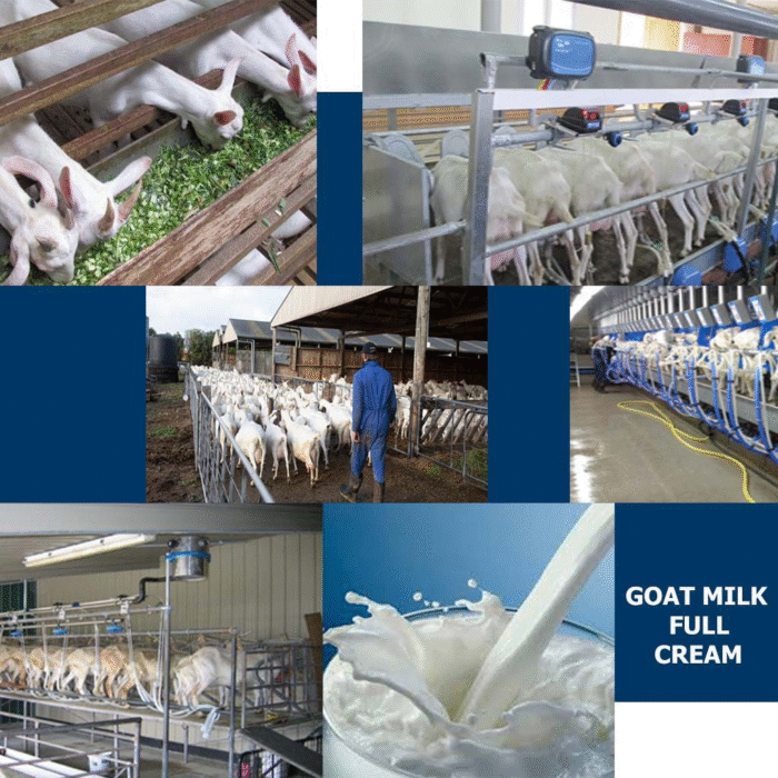 Pure Goat Milk Powder 25kg Goat Milk Powder - Image 3