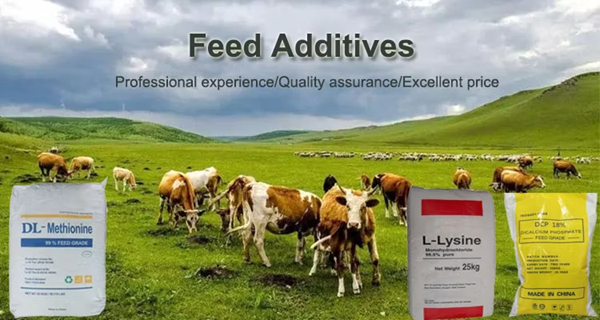 Feed Grade Additives Animal Feed